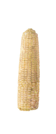 Corn Corn